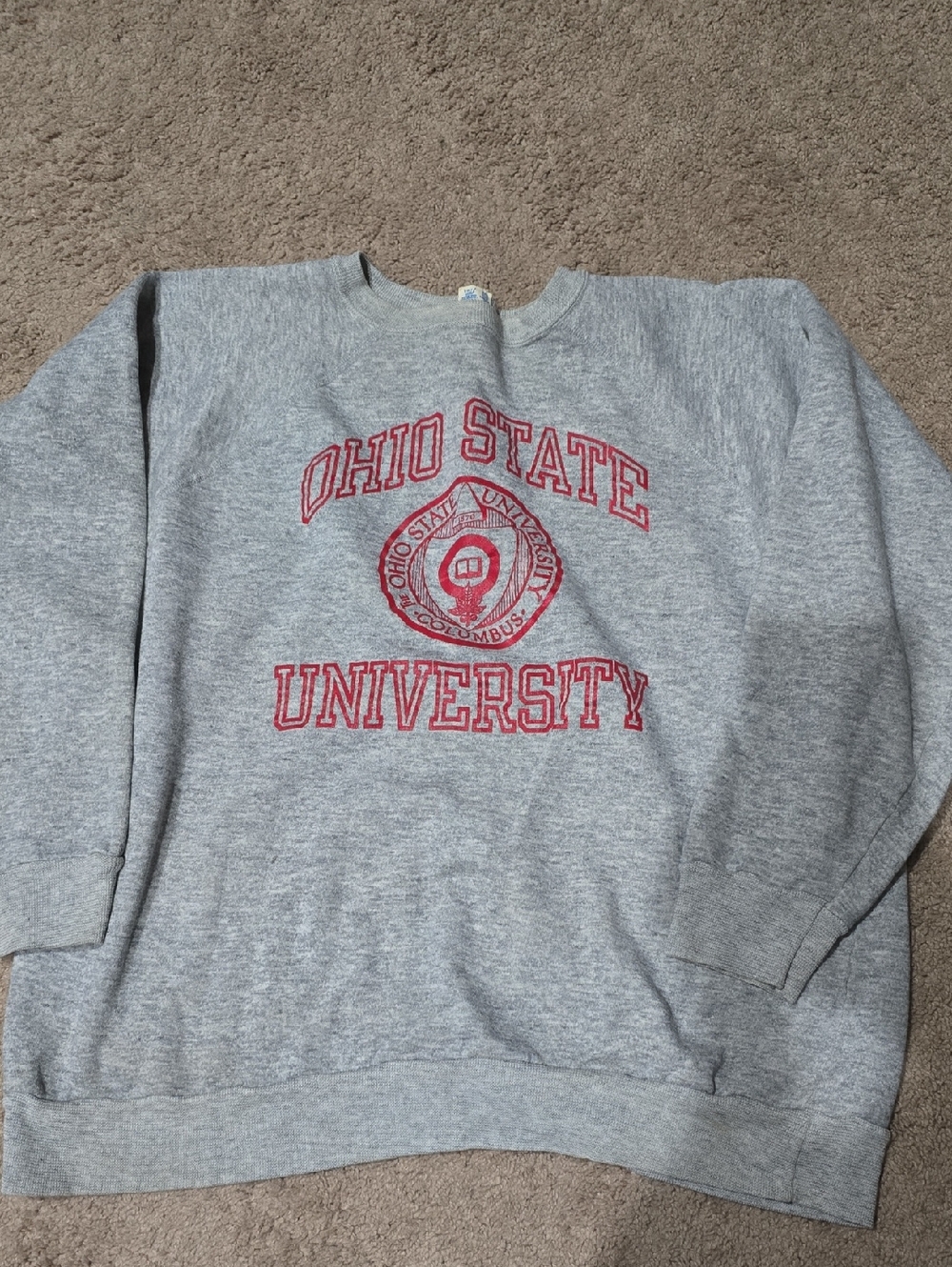 Vintage Champion Womens XXL Ohio State Sweatshirt. Used. Staining.